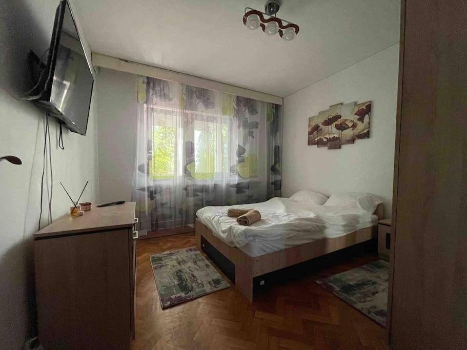 Apartament Zona Centrala Punctele Cardinale -Take Ionescu Timisoara Apartment Exterior photo